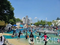 제9회 하동섬진강문화재첩축제, 섬진강과 송림공원 일원에서 6월 20일 개막