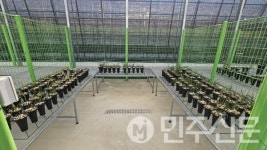 전남 화순군 2025년 화순춘란 재배 온실 임대 사업 추진