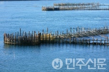 남해 지족해협 죽방렴어업, 세계 중요농업유산 등재