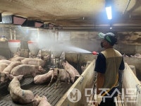 전남 화순군, 유용미생물 축사 악취 저감 효과