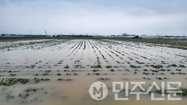경북 영천시, 집중호우 대비 농작물·시설물 피해 예방 당부