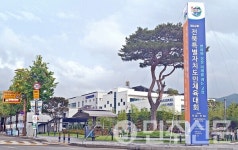 고창군 '제62회 전북특별자치도 도민체전' 본격시작