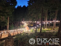 전남 진도군, 운림산림욕장에서 꽃무릇 숲속 음악회 개최