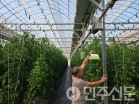 경북 영덕군, 토마토뿔나방 방제 자재 지원 및 현장 교육 실시