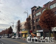 전남 광양시, 신재로 가로수 전정으로 시민 안전확보‧생활불편 해소