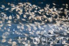 한국수산자원공단, 전남 진도·신안 연안에 80억 규모 신규 수산자원 조성사업 추진