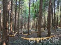 전남 해남군, 달보드레농원 우수치유농업시설 인증농장 선정