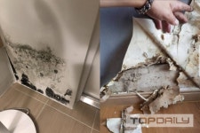 대우·두산건설 신축아파트에 곰팡이 나 몰라라