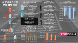 삼광글라스그룹 분할·합병, 누구를 위한 작업인가