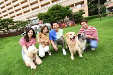 동물농장, 대명 소노호텔과 반려동물 복지 및 힐링 공간 개발