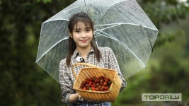 아이유 힐링다큐 나무야 나무야 나무를 통해 위로받는 시간