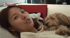 동물농장 이효리, 반려견 순심이와의 이별 이야기