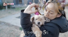 동물농장 이효리, 반려견 순심이와의 이별 이야기
