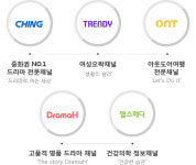 KT 현대미디어 인수…KT스카이라이프 적자에서 서자로?