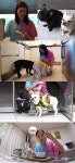 전지적 참견 시점 아이린, 犬엄마 일상 공개...강아지 유치원 등원까지