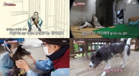 TV 동물농장 할아버지와 반려견 차돌이가 만나던 순간