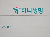 하나생명, 보장성보험 경쟁력 강화 고삐죈다
