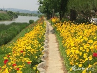 아산시 둔포면 주민자치센터, 꽃길 조성