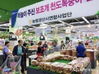 농협하나로유통, 우박 피해 천도복숭아 판매해 농가지원