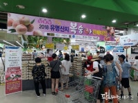 햇사레복숭아 판매