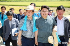 이천시,  경기미 우수 생산단지 벼베기 시연