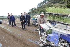 동부농업기술센터, 양파 6조식 기계정식 도입 노동력 해결