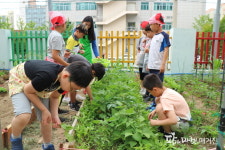 텃밭 활동은 아동의 식습관 개선에 효과적이다