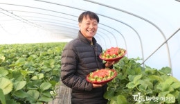 딸기 수출의 중심, 수곡덕천영농조합법인 문수호 대표