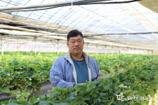 조남혁 대표의 평택 딸기이야기 