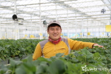 김제 청년농업인 이주봉 대표의 스파트팜딸기