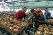 무주군 체재형 가족실습농장 수확물 이웃돕기