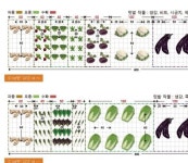 암 예방 위한  텃밭만들기