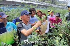 더 맛있는! 더 안전한! 청양 블루베리