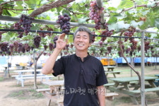 한국포도영농조합법인 박용하 대표이사