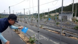 영암군, 지역특화과수 무화과 영농 기술 지원