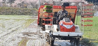 보성군, 첫 모내기 ‘맛있게 잘 자라다오!’