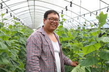 오이 생산하는 김진호 대전 청년농업인