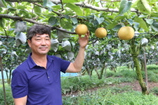 김만기 대표, 맛있는 나주 배 생산은 자존심