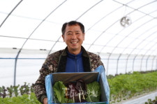 순창군귀농귀촌인영농조합법인 | 싱싱 쌈채소 전문, 순창에 귀농한 양진철 대표
