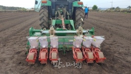 동부농업기술센터, 우도서 땅콩 파종 기계화 성공