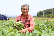 청양의 아주까리 재배 전문가 윤종흥 대표