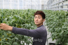 스마트팜 토마토 재배,  화순 청년농업인 이종혁 대표
