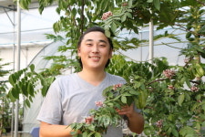 안성 황치영 청년농부의 카람볼라 이야기