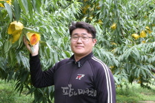 이천 명품 복숭아  생산하는 황금농원 강경구 대표