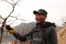<대한민국 대표과일선발대회> 우수상 창녕 하철호 농가