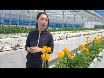 귀농 청년농업인 김에스더 대표