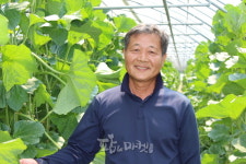 춘천시 하니원 멜론 신상철 농가