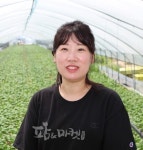 용인시 청경채·쌈채소 재배 노한라 농가