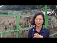 보은군 최희란 대표, 농촌교육농장·마음치유농장 품질인증