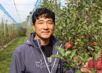  춘천 사과재배 이인영 농가
